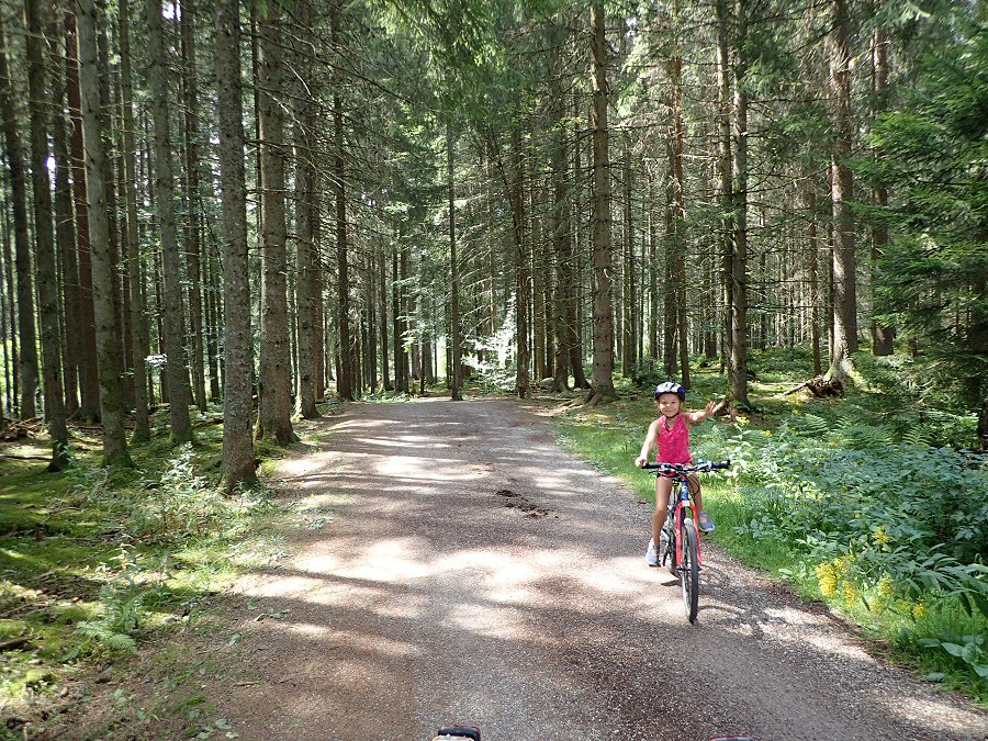 Sud Schwarzwald radweg