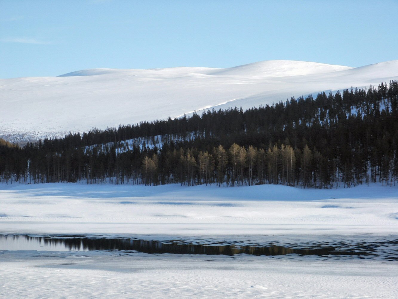 02 galdhoppigen 0017