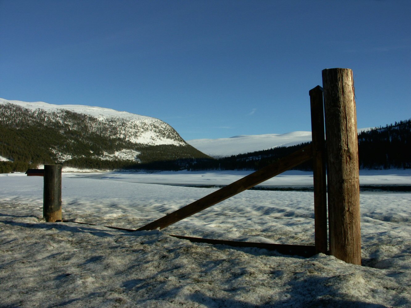 02 galdhoppigen 0019