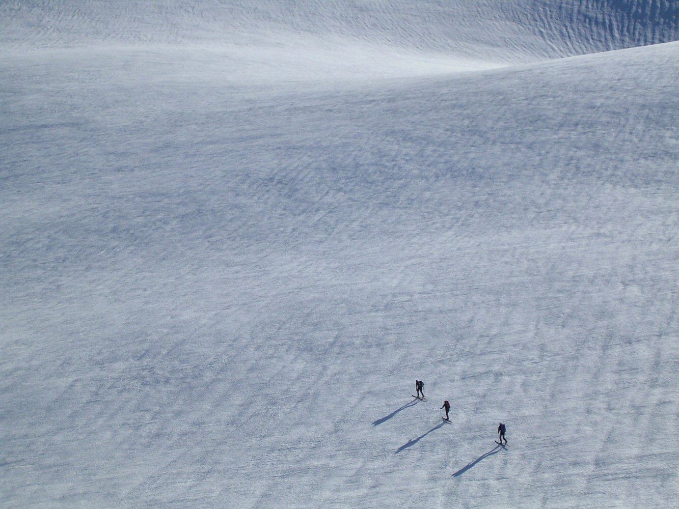 05 middagshornet 013