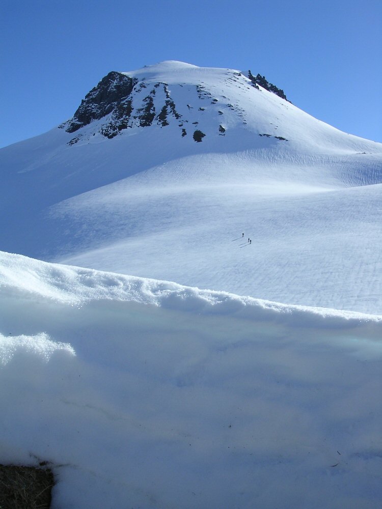 05 middagshornet 014