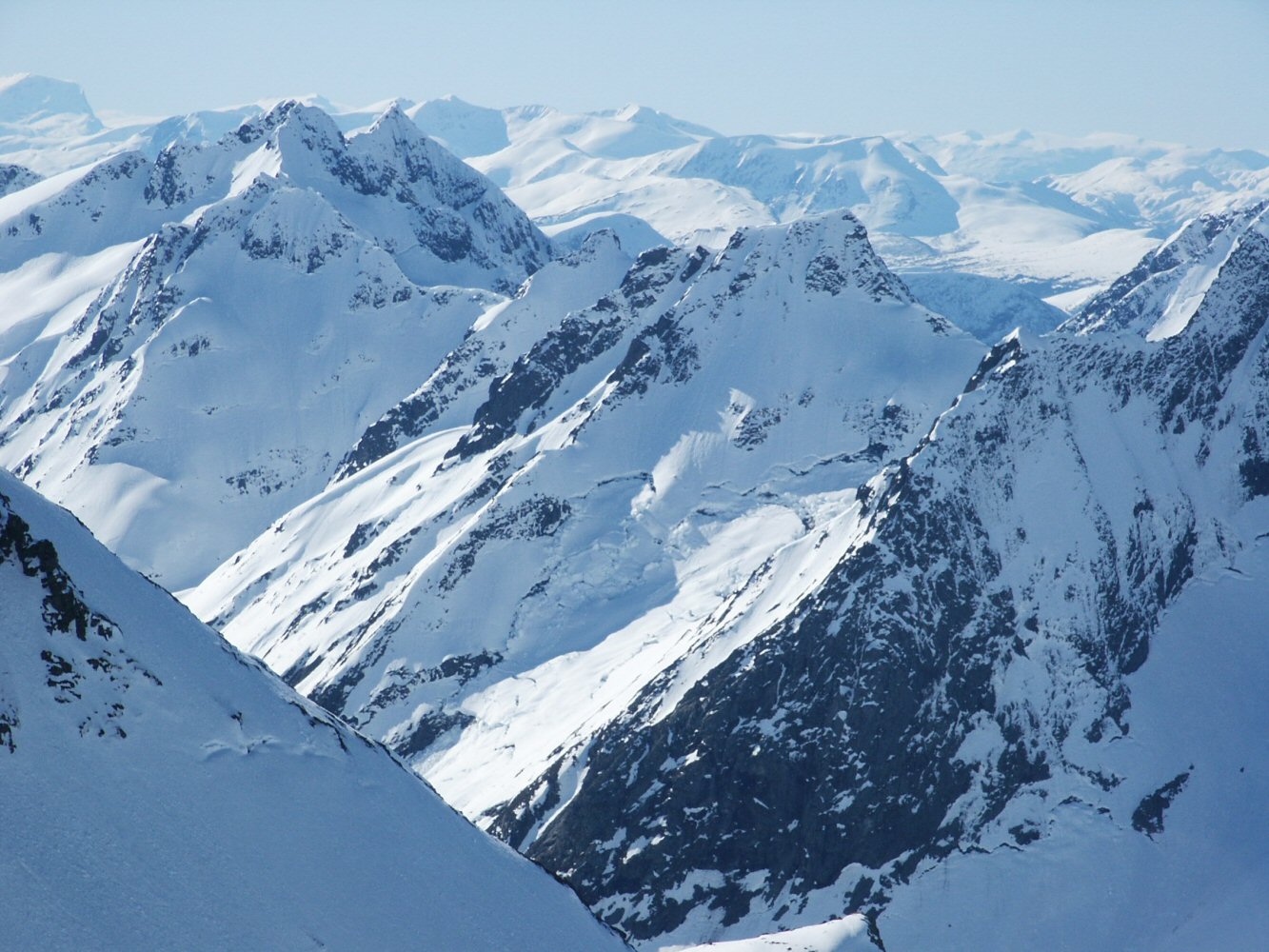 05 middagshornet 018