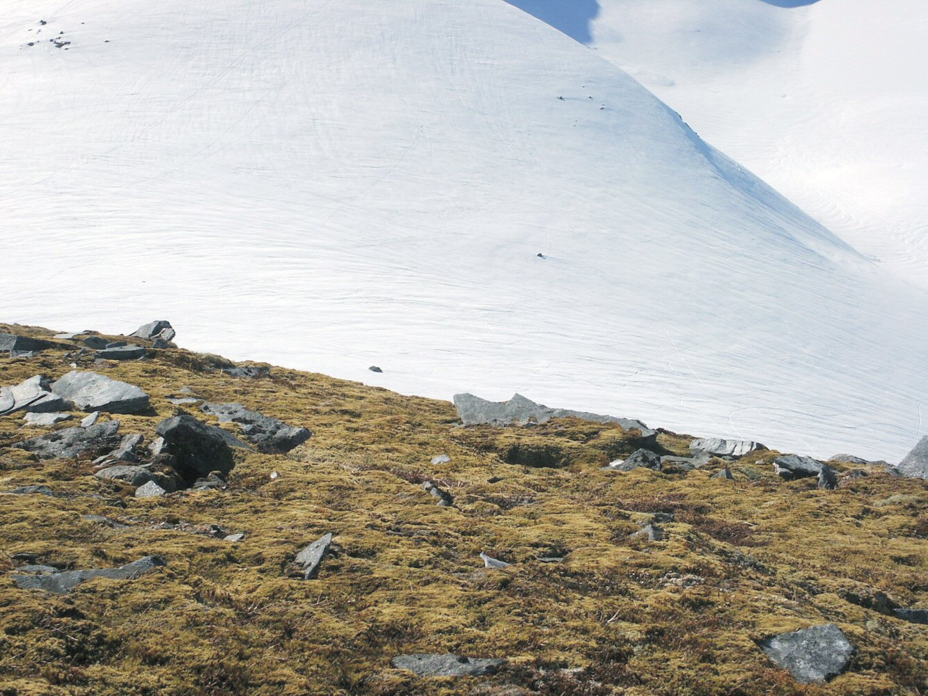 05 middagshornet 026