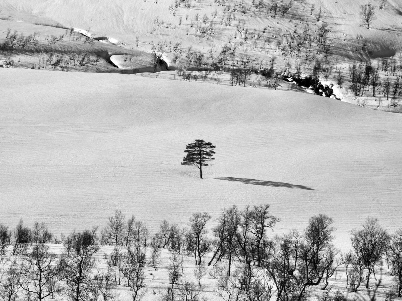 06 skarasalen 0057nb