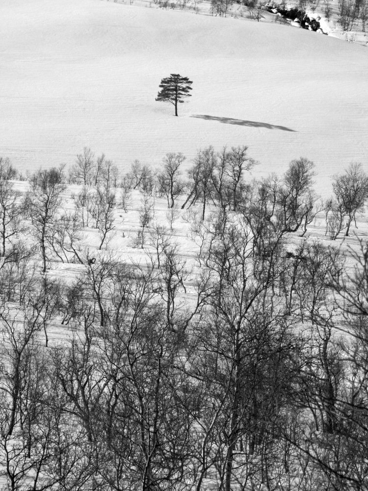 06 skarasalen 0058nb