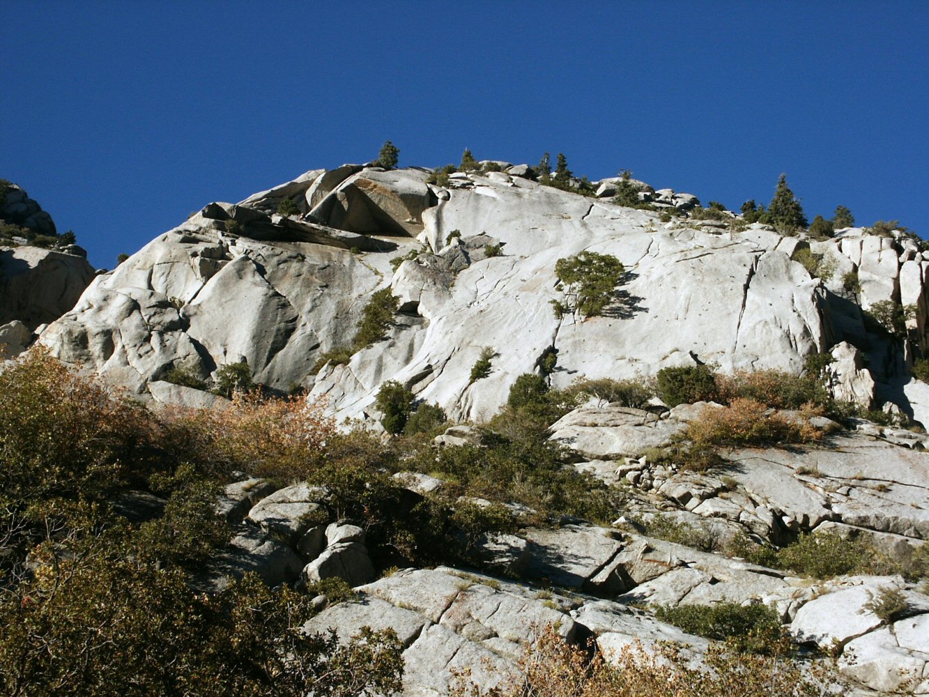 01 cottonwood 01 0026