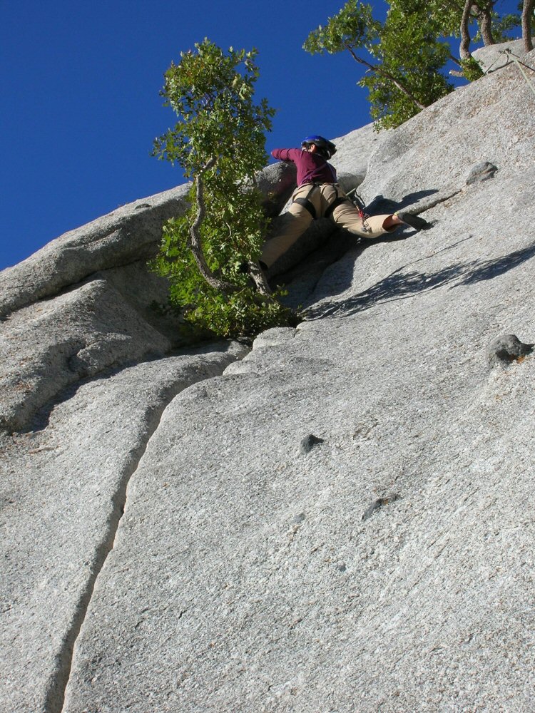 01 cottonwood 01 0055