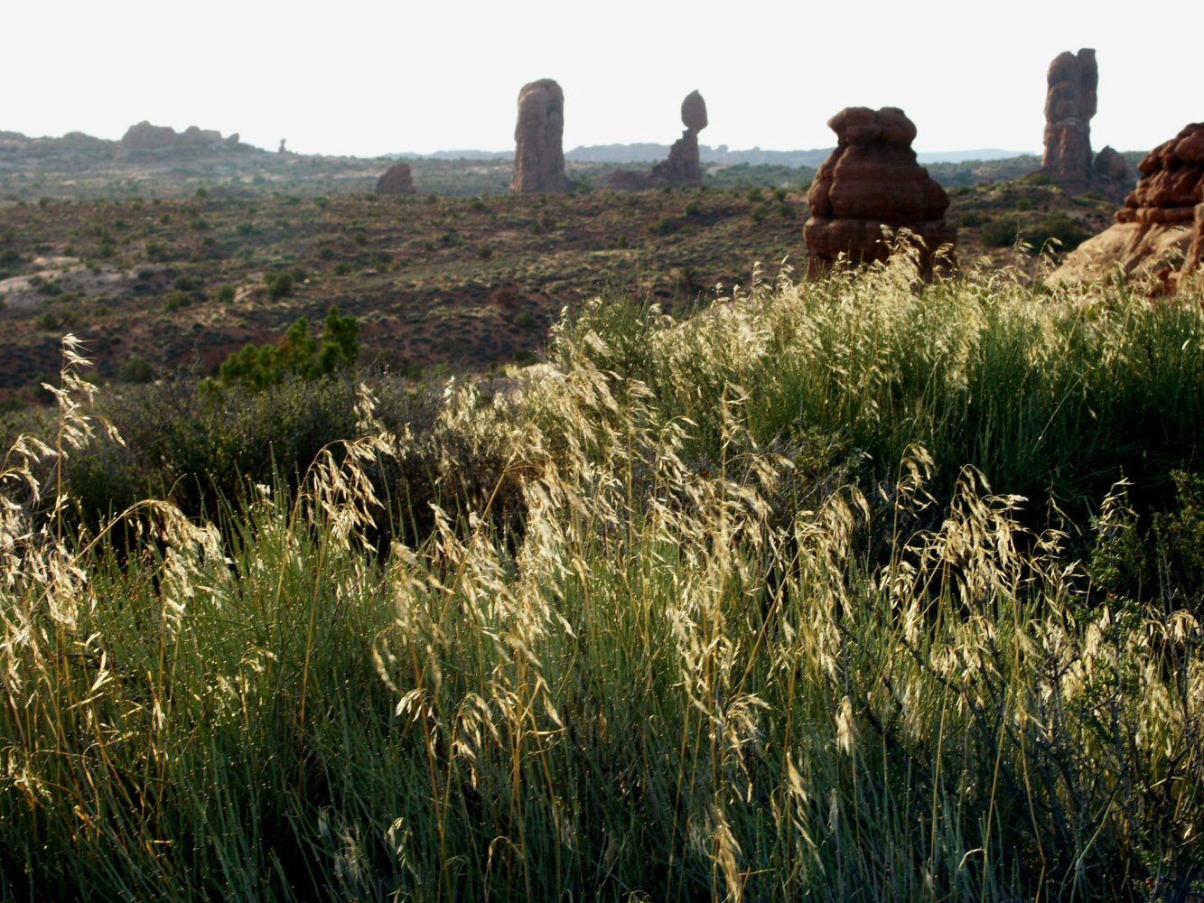 04 canyonland 02 0032