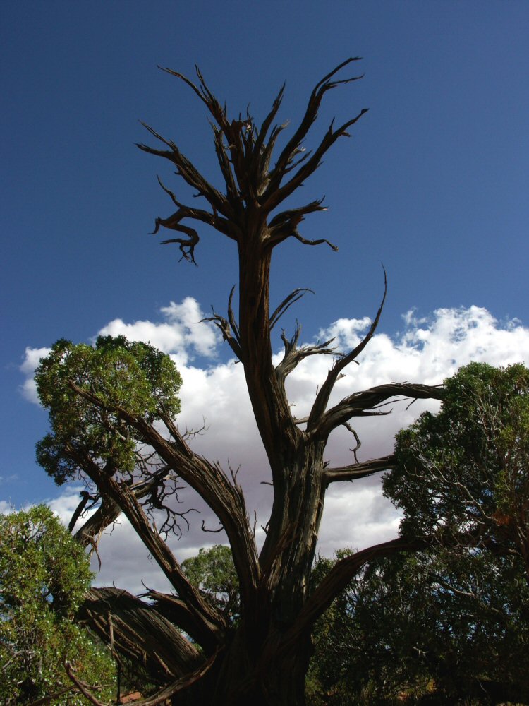 04 canyonland 02 0065