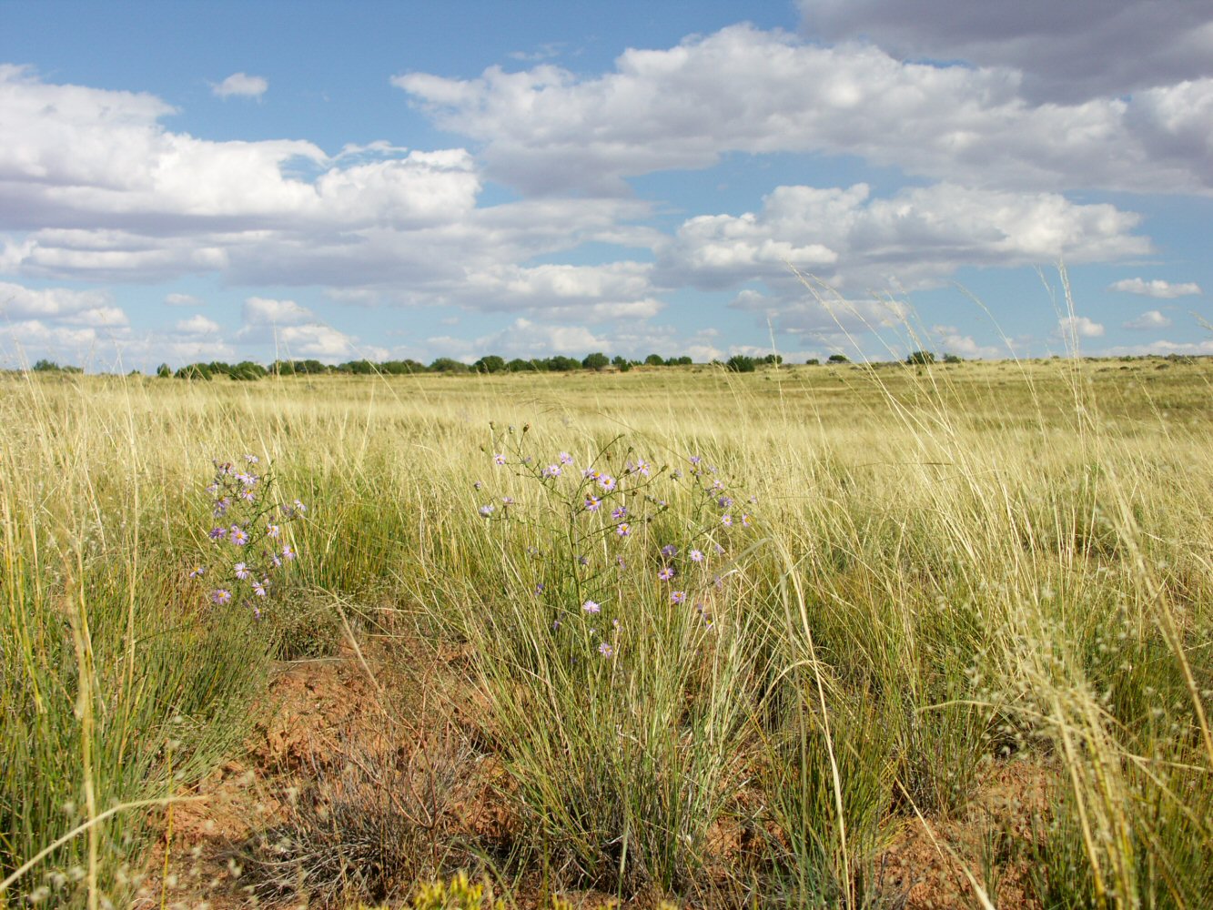04 canyonland 02 0066