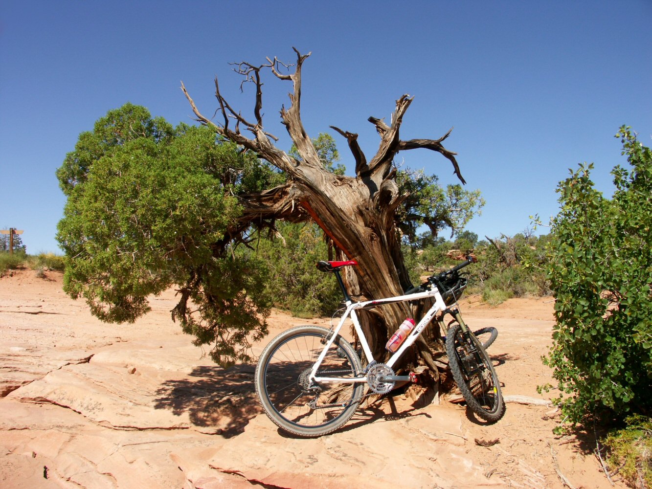 04 canyonland 02 0078