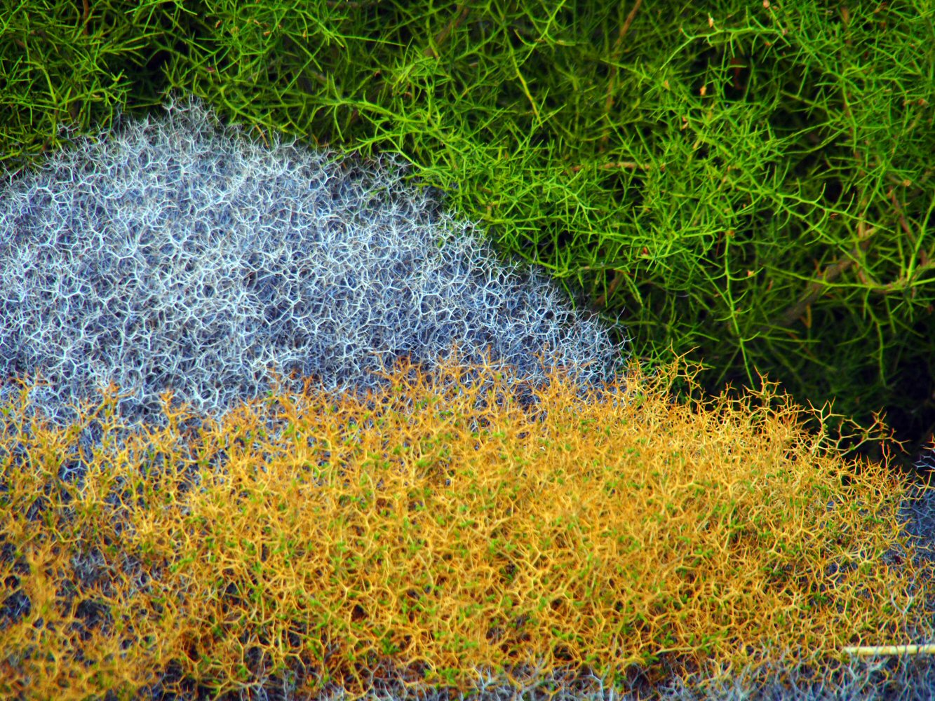 20251015 karpathos 150698