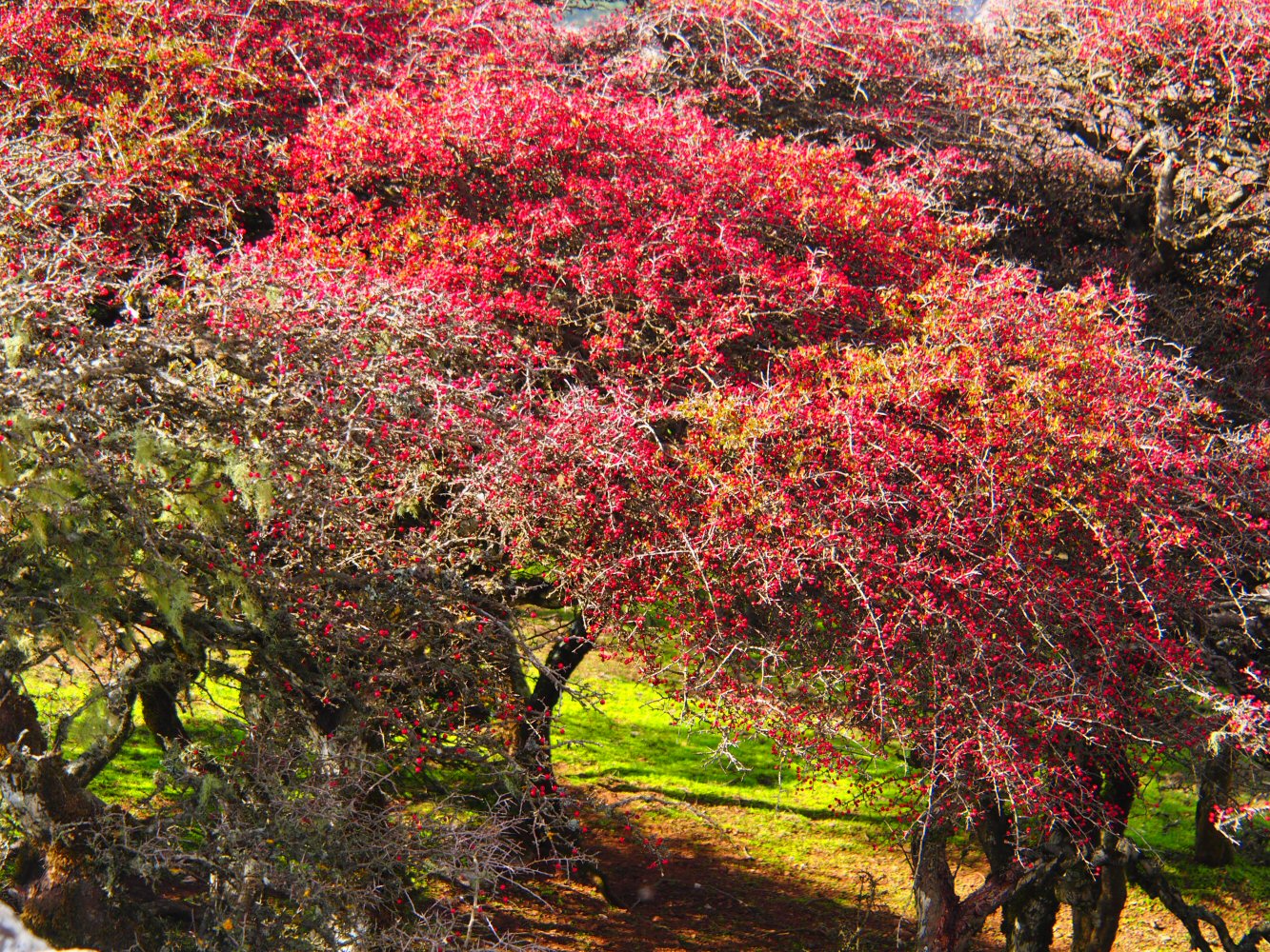 20251018 karpathos 180920