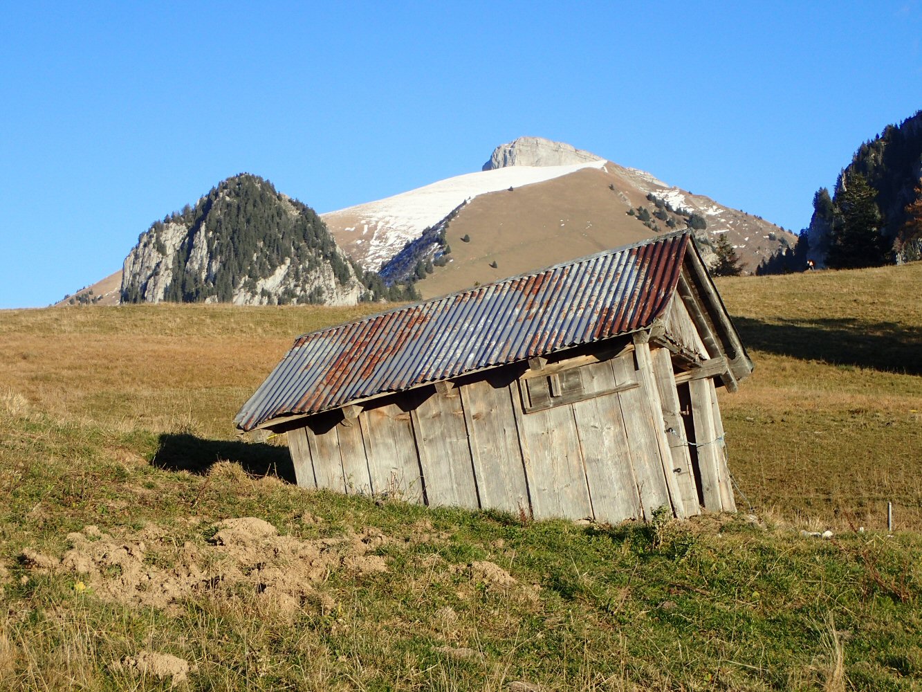 20251108 sarses PB080030