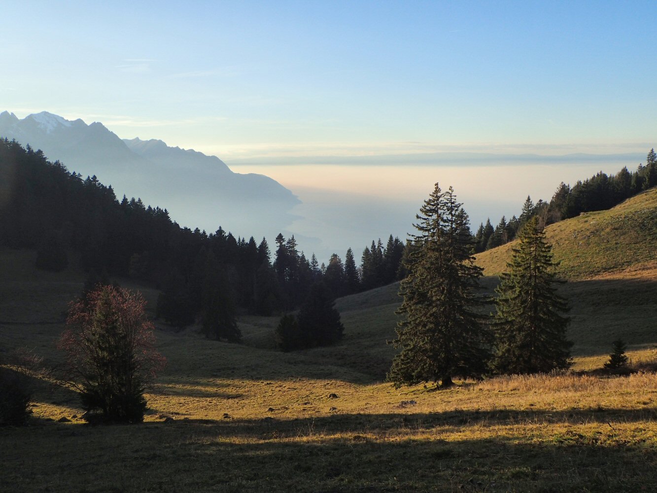 20251108 sarses PB080031