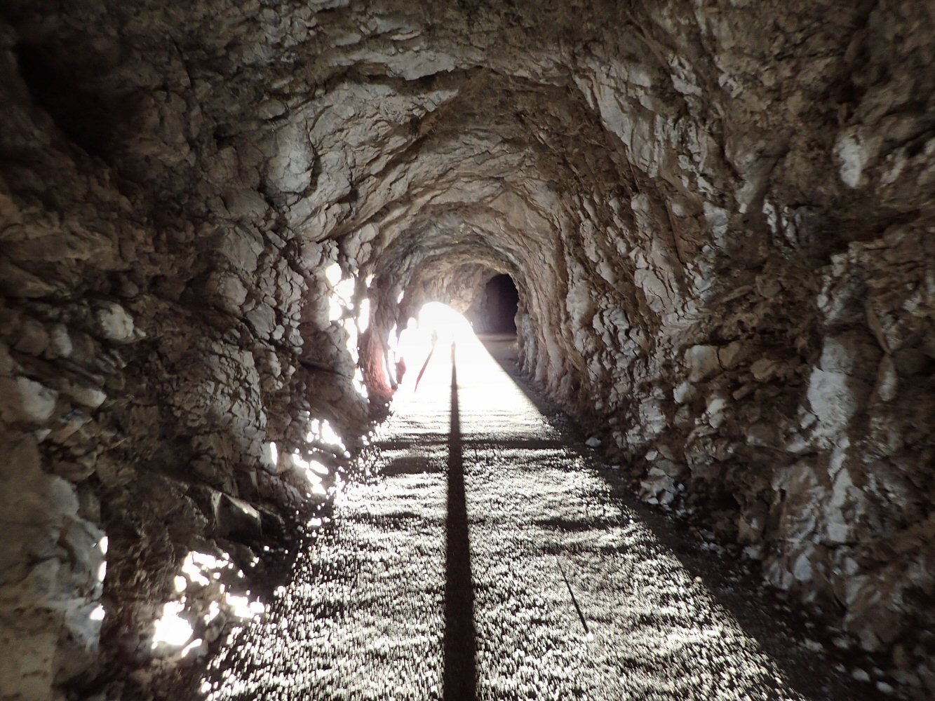 20251108 sarses PB080036