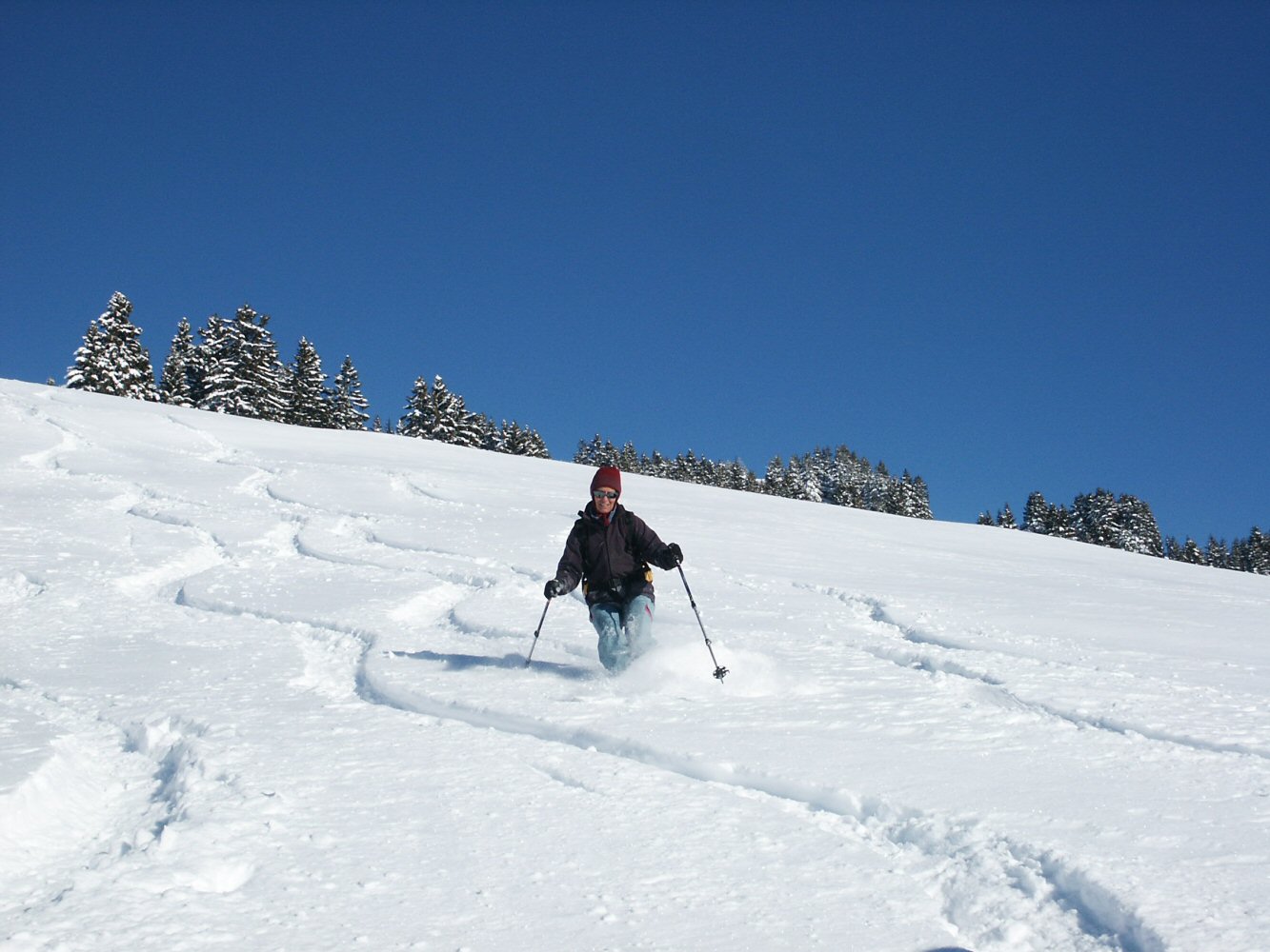 Poudrasse au Chevreuil