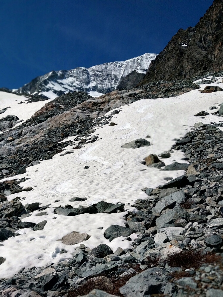 20260607 pigne arolla 104354