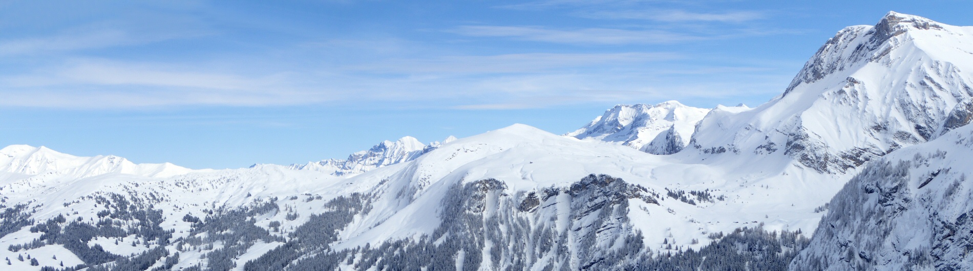 20260215 pano wispile