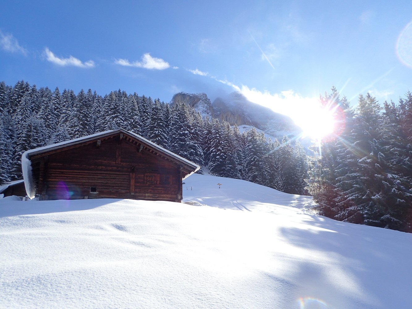20260215 raid gstaad 2150048