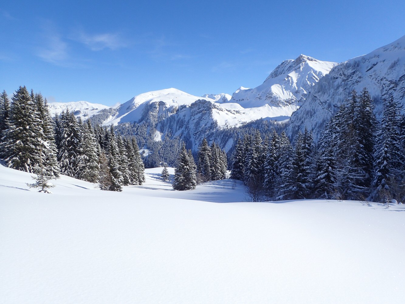 20260215 raid gstaad 2150067