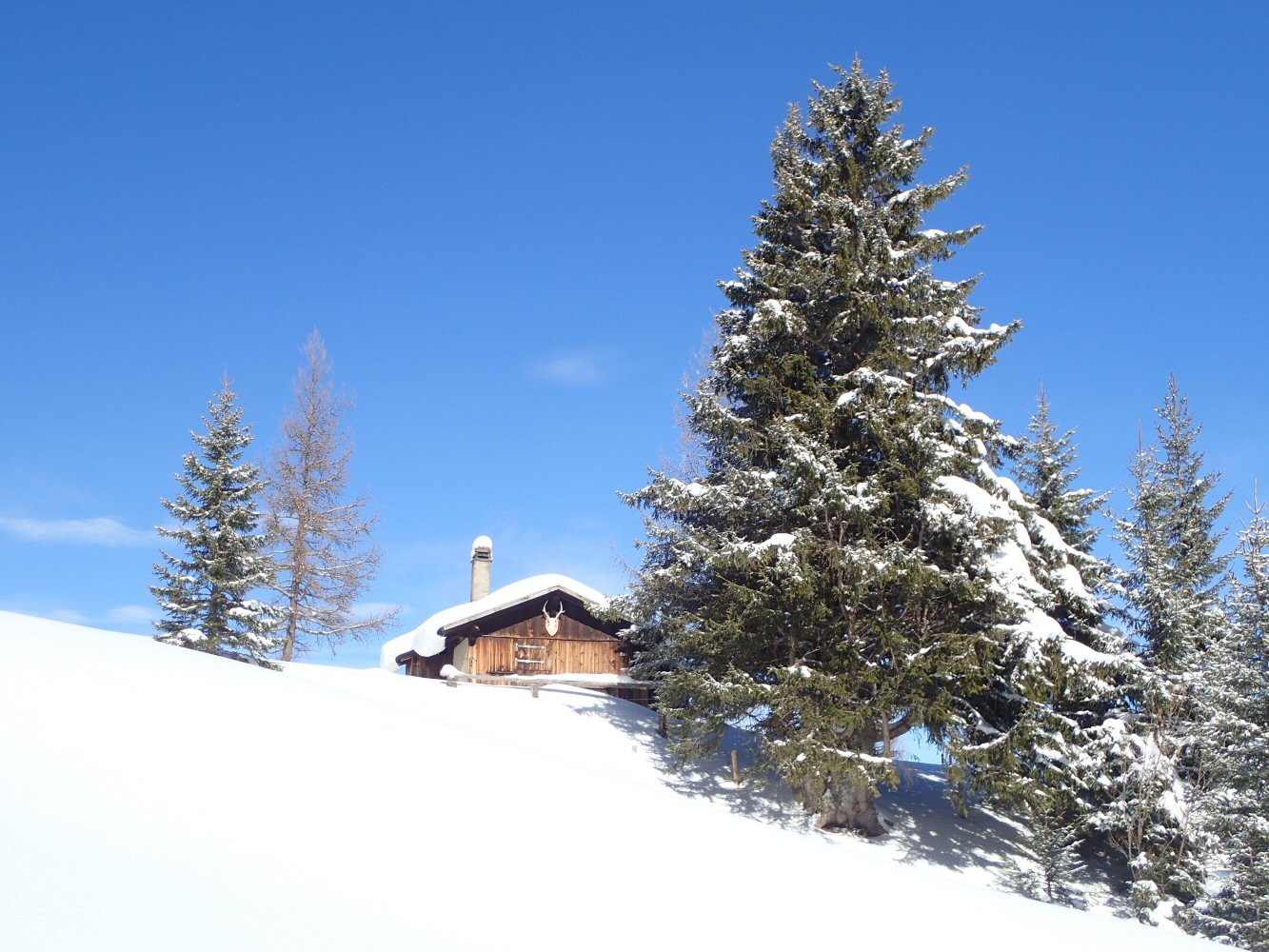 20260215 raid gstaad 2150069