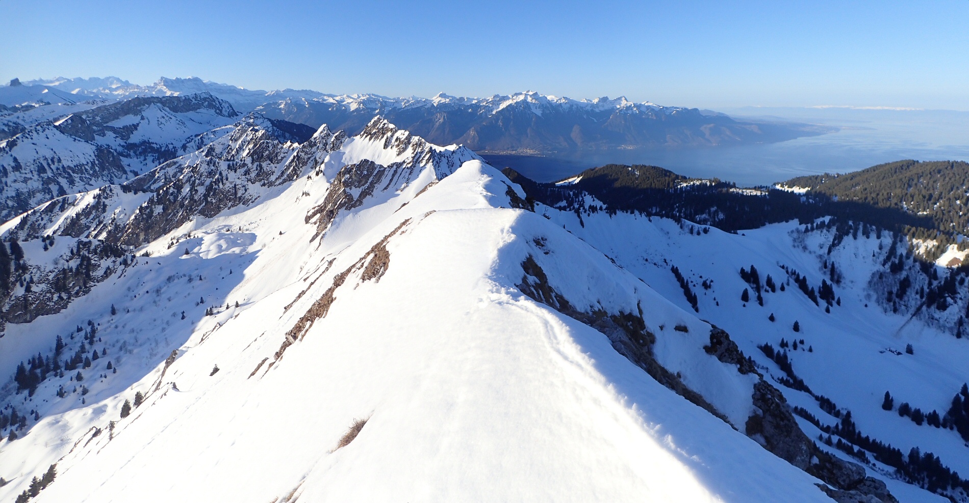20260227 artses pano2